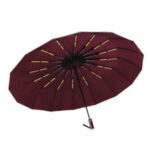 Umbrella